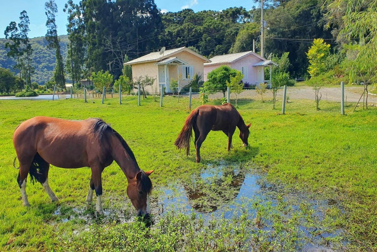 Pousada Mato Verde - Urubici - Sc ภายนอก รูปภาพ